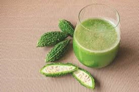Bitter- Gourd – Mint – Spinach – Shoot