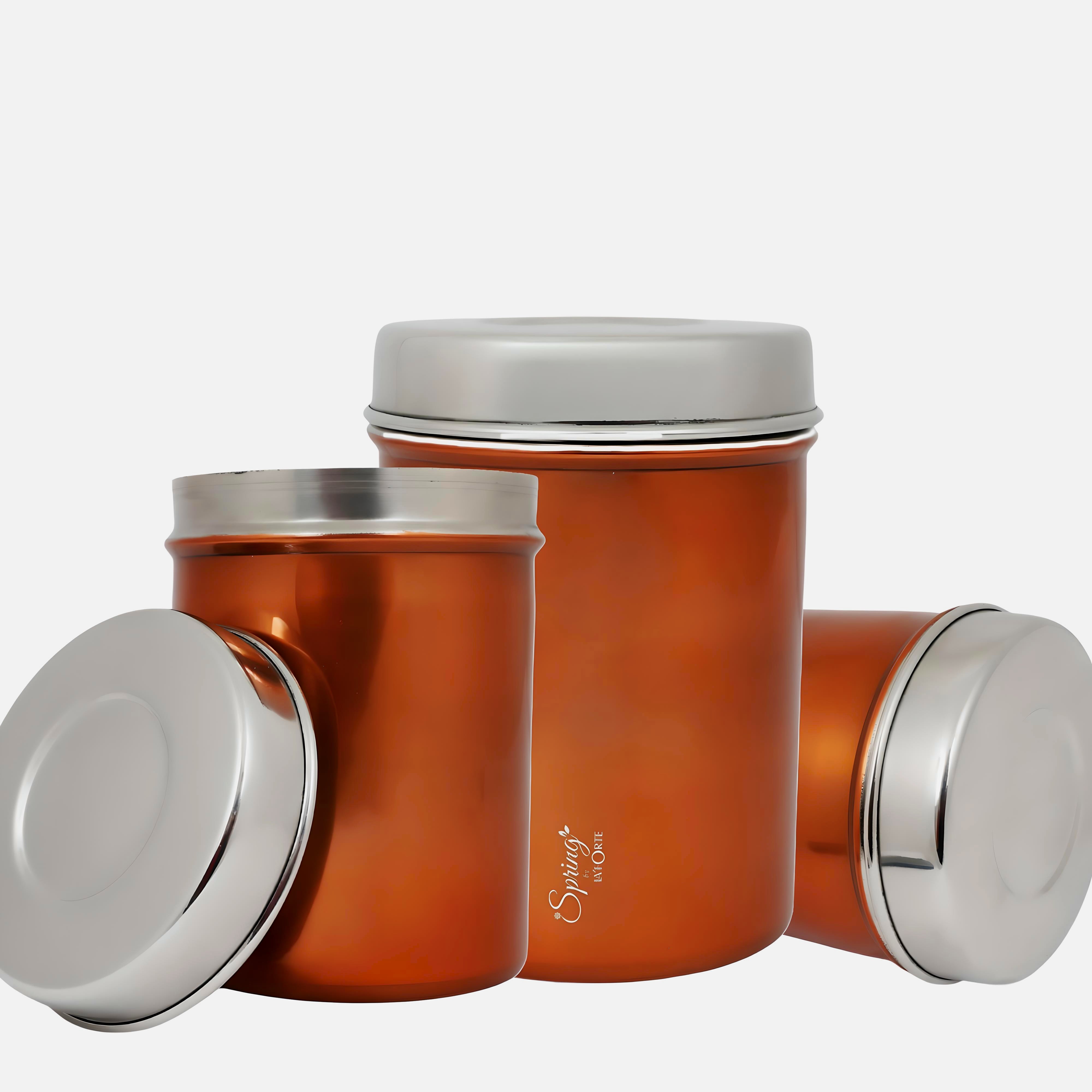 3-Piece Premium Kitchen Canister Set | Airtight Storage for Tea, Coffee, Spices & More