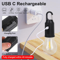 USB Rechargeable LED Bulb with Carabiner Hook 3 Light Modes USB Type C Charging (Pack of 2)