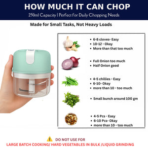 Mini Electric Chopper | Rechargeable | 250ml | Compact & Portable | Powerful Stainless Steel Blades | Onion, Garlic, Veggies & More